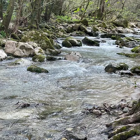 Dans Les Cevennes *