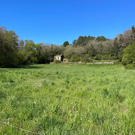 Dans Les Cevennes Vakantiehuis Saint-Jean-du-Gard