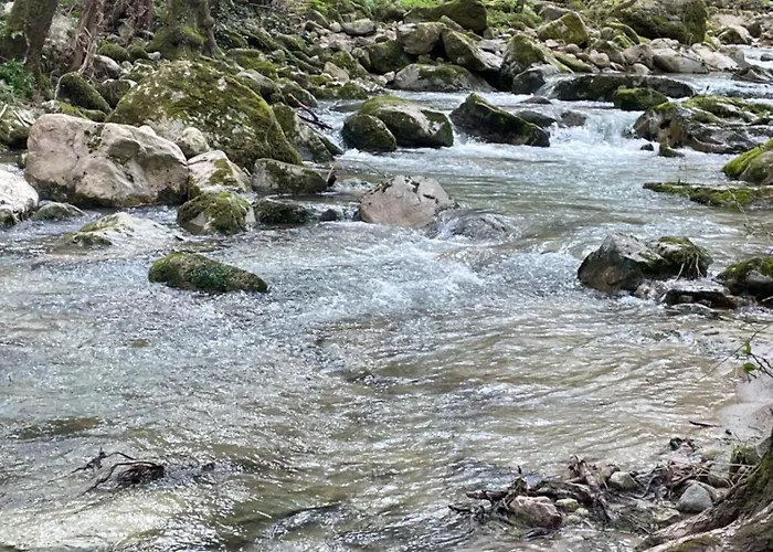 Dans Les Cevennes *